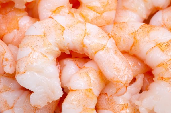 Prawn Peeled and Cooked Meat Vannamei